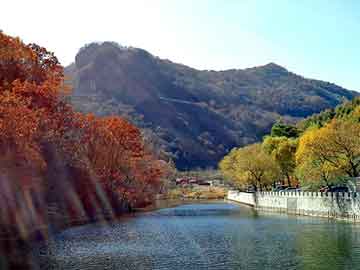 启明大学（启明大学qs世界排名）