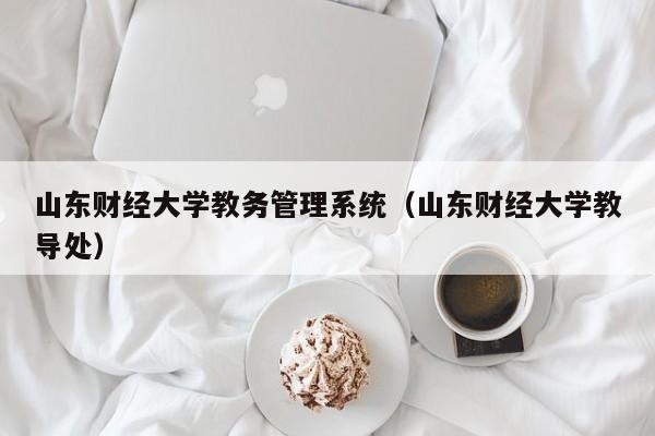 山东财经大学教务管理系统（山东财经大学教导处）