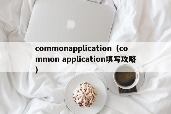 commonapplication（common application填写攻略）