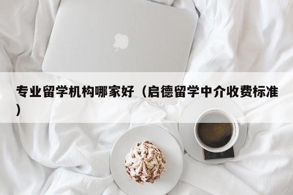 专业留学机构哪家好（启德留学中介收费标准）