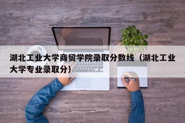 湖北工业大学商贸学院录取分数线（湖北工业大学专业录取分）