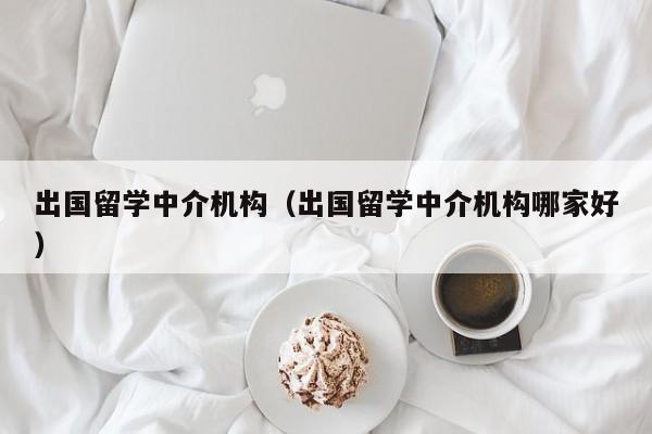 出国留学中介机构（出国留学中介机构哪家好）