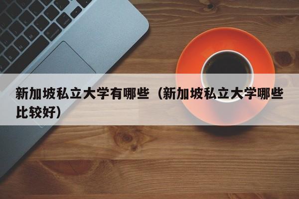 新加坡私立大学有哪些（新加坡私立大学哪些比较好）