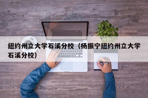 纽约州立大学石溪分校（杨振宁纽约州立大学石溪分校）