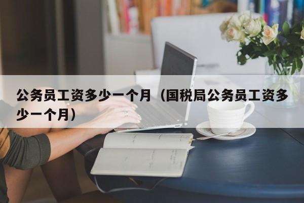 公务员工资多少一个月（国税局公务员工资多少一个月）