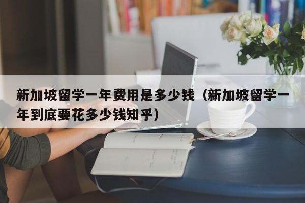 新加坡留学一年费用是多少钱（新加坡留学一年到底要花多少钱知乎）