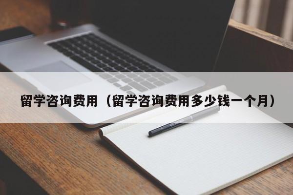 留学咨询费用（留学咨询费用多少钱一个月）