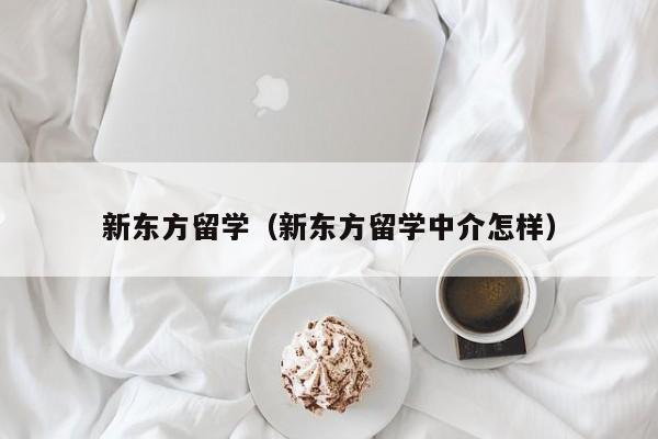 新东方留学（新东方留学中介怎样）