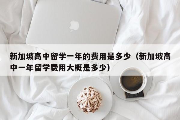 新加坡高中留学一年的费用是多少（新加坡高中一年留学费用大概是多少）