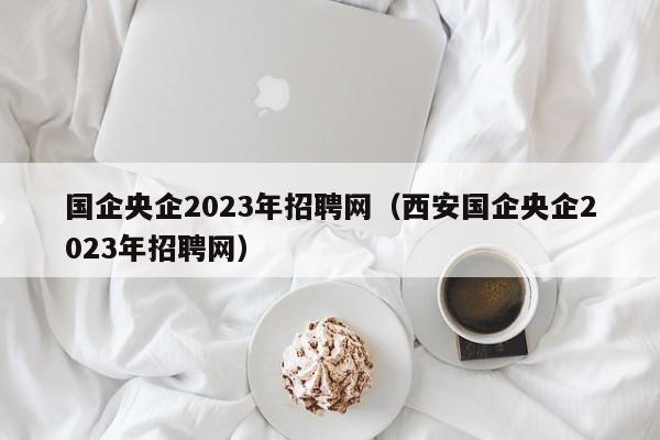 国企央企2023年招聘网（西安国企央企2023年招聘网）