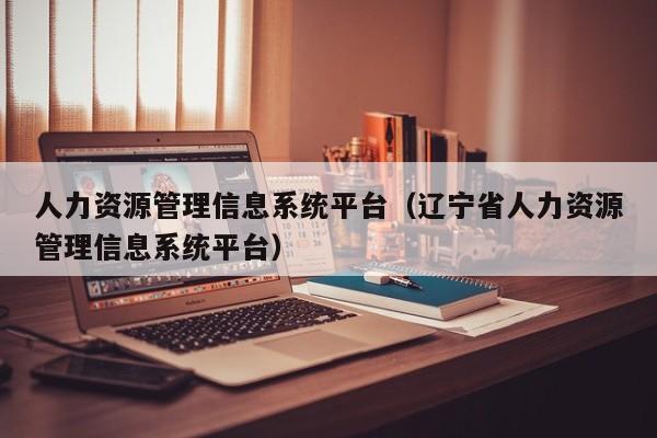 人力资源管理信息系统平台（辽宁省人力资源管理信息系统平台）