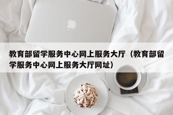 教育部留学服务中心网上服务大厅（教育部留学服务中心网上服务大厅网址）