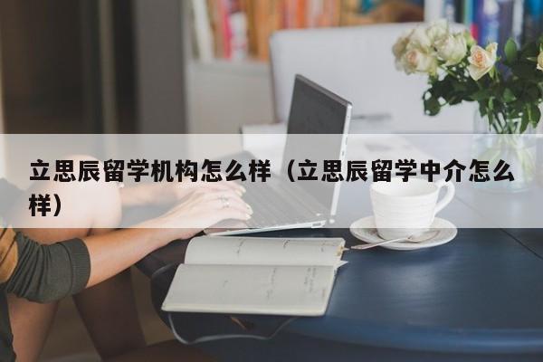 立思辰留学机构怎么样（立思辰留学中介怎么样）