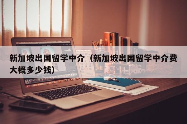 新加坡出国留学中介（新加坡出国留学中介费大概多少钱）