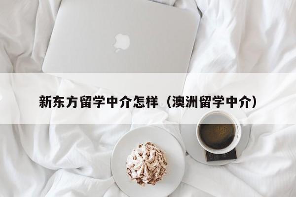 新东方留学中介怎样（澳洲留学中介）