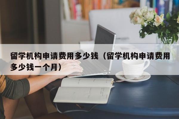 留学机构申请费用多少钱（留学机构申请费用多少钱一个月）