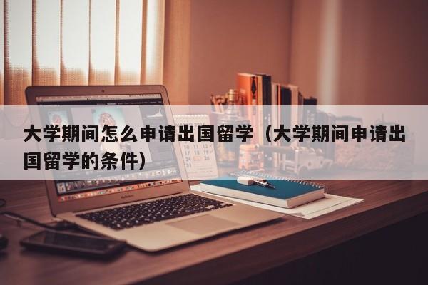 大学期间怎么申请出国留学（大学期间申请出国留学的条件）