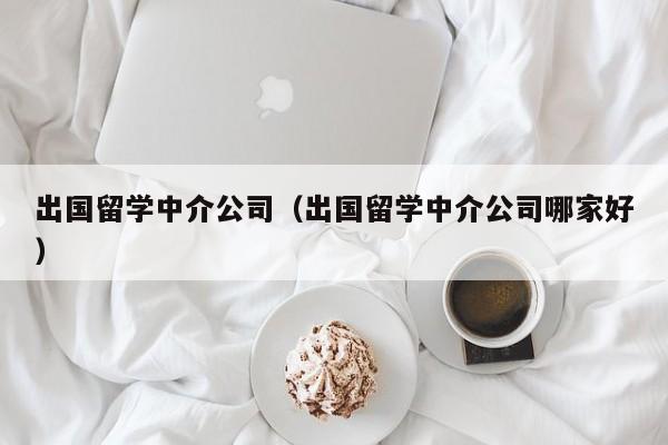 出国留学中介公司（出国留学中介公司哪家好）