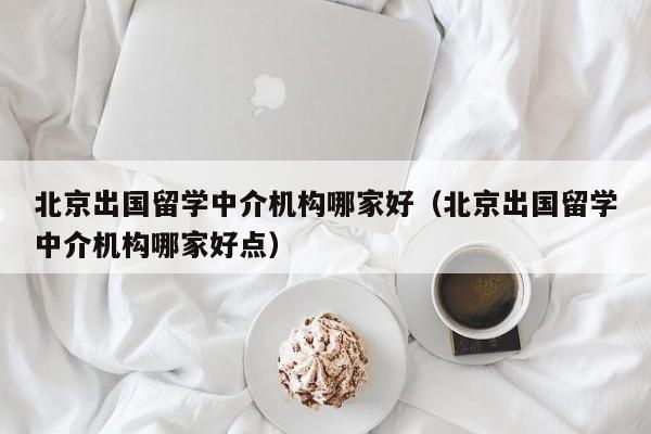 北京出国留学中介机构哪家好（北京出国留学中介机构哪家好点）