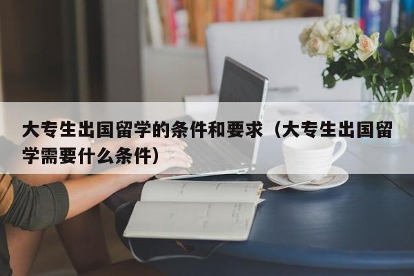 大专生出国留学的条件和要求（大专生出国留学需要什么条件）