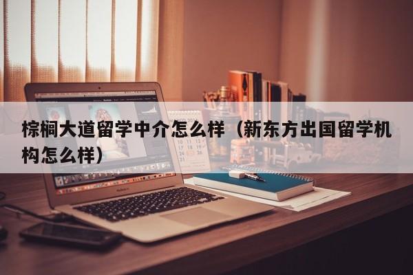 棕榈大道留学中介怎么样（新东方出国留学机构怎么样）