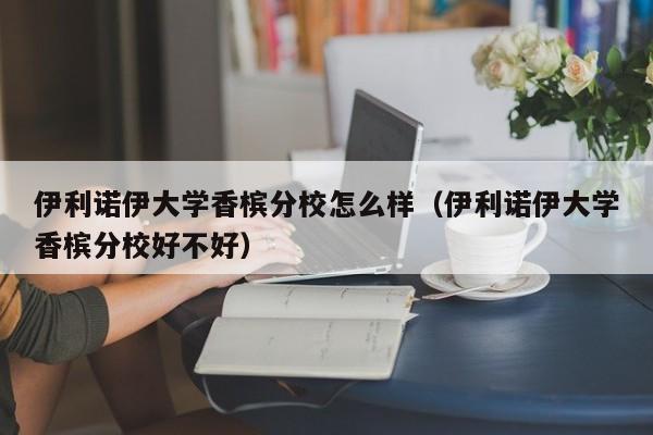 伊利诺伊大学香槟分校怎么样（伊利诺伊大学香槟分校好不好）