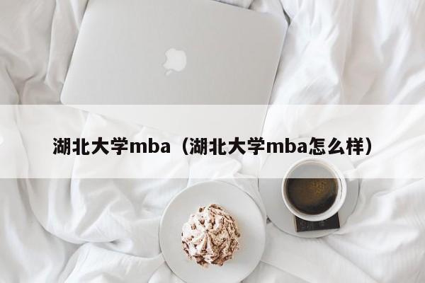 湖北大学mba（湖北大学mba怎么样）