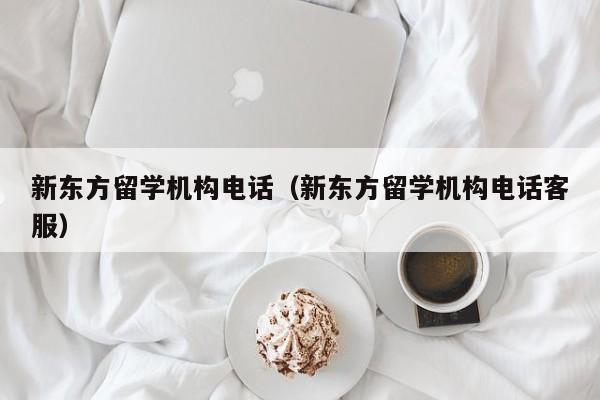 新东方留学机构电话（新东方留学机构电话客服）