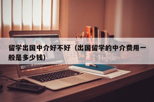 留学出国中介好不好（出国留学的中介费用一般是多少钱）