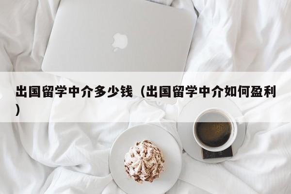 出国留学中介多少钱（出国留学中介如何盈利）