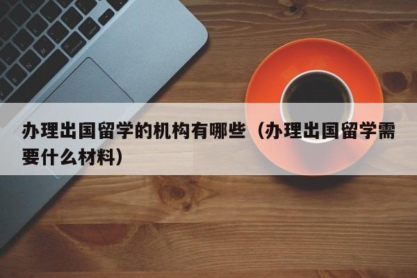 办理出国留学的机构有哪些（办理出国留学需要什么材料）