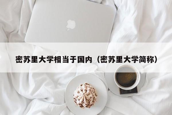 密苏里大学相当于国内（密苏里大学简称）