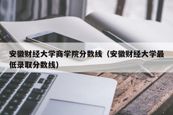 安徽财经大学商学院分数线（安徽财经大学最低录取分数线）