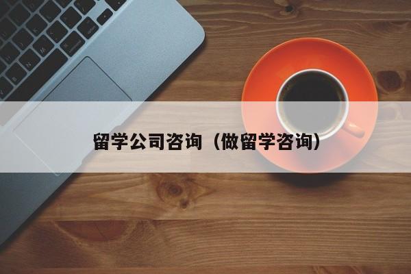 留学公司咨询（做留学咨询）