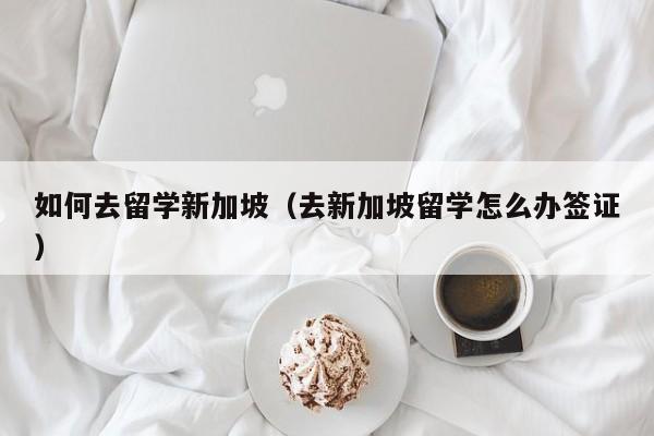 如何去留学新加坡（去新加坡留学怎么办签证）