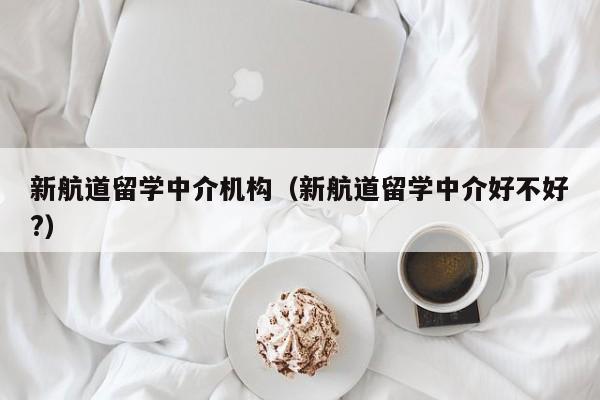 新航道留学中介机构（新航道留学中介好不好?）