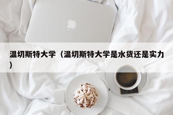 温切斯特大学（温切斯特大学是水货还是实力）